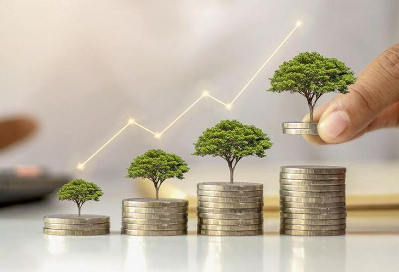 Cash management
